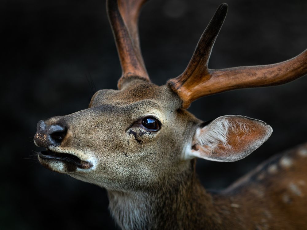 Photograph by Игорь Потапов