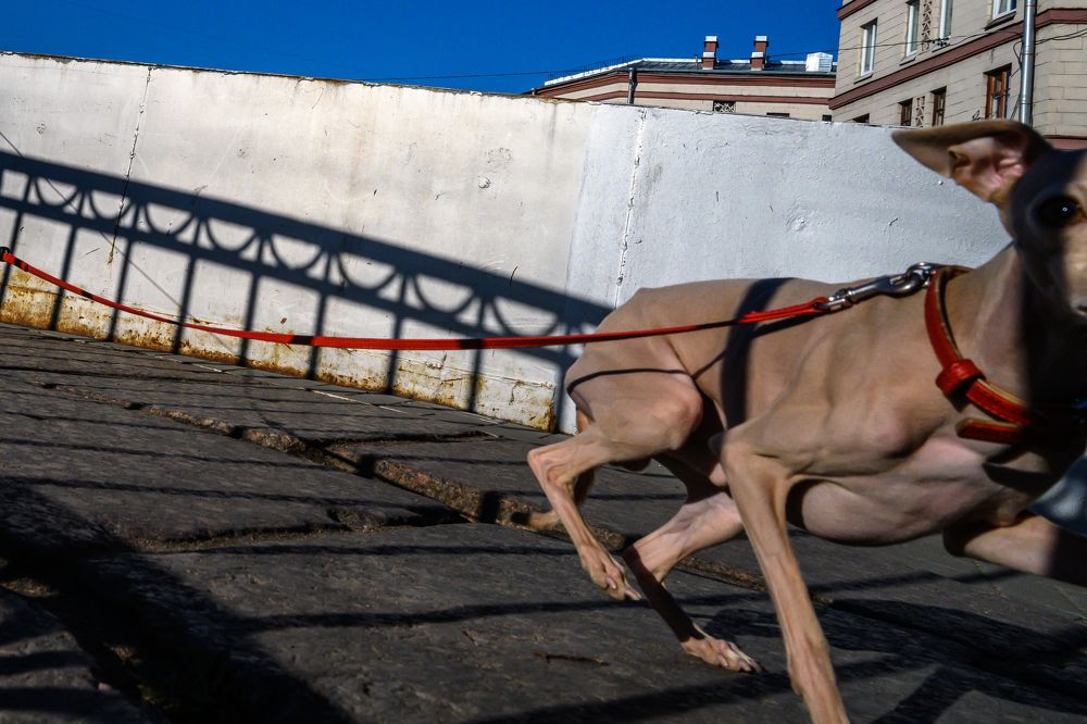 Photograph by Дмитрий Бахтадзе