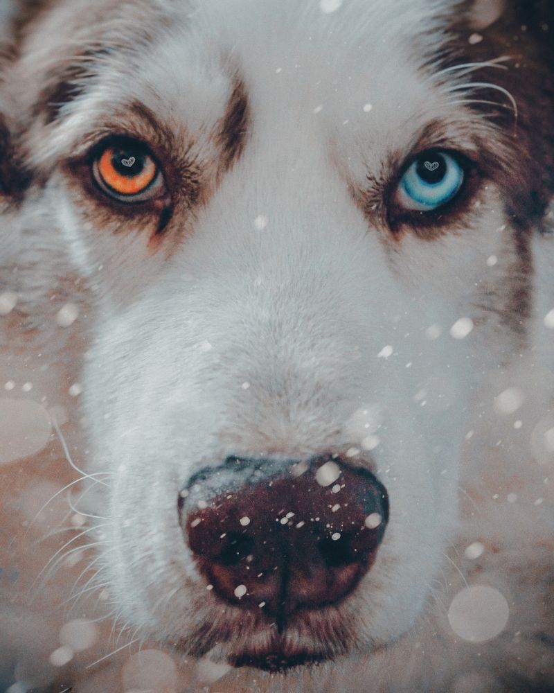 Photograph by Александра Шишкина