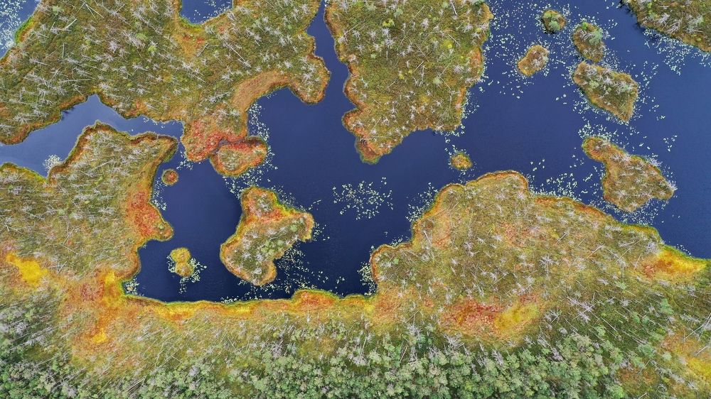 Photograph by AVIC A.M.