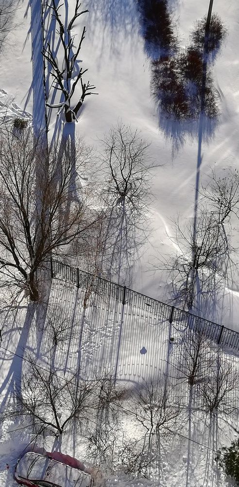 Февральские тени