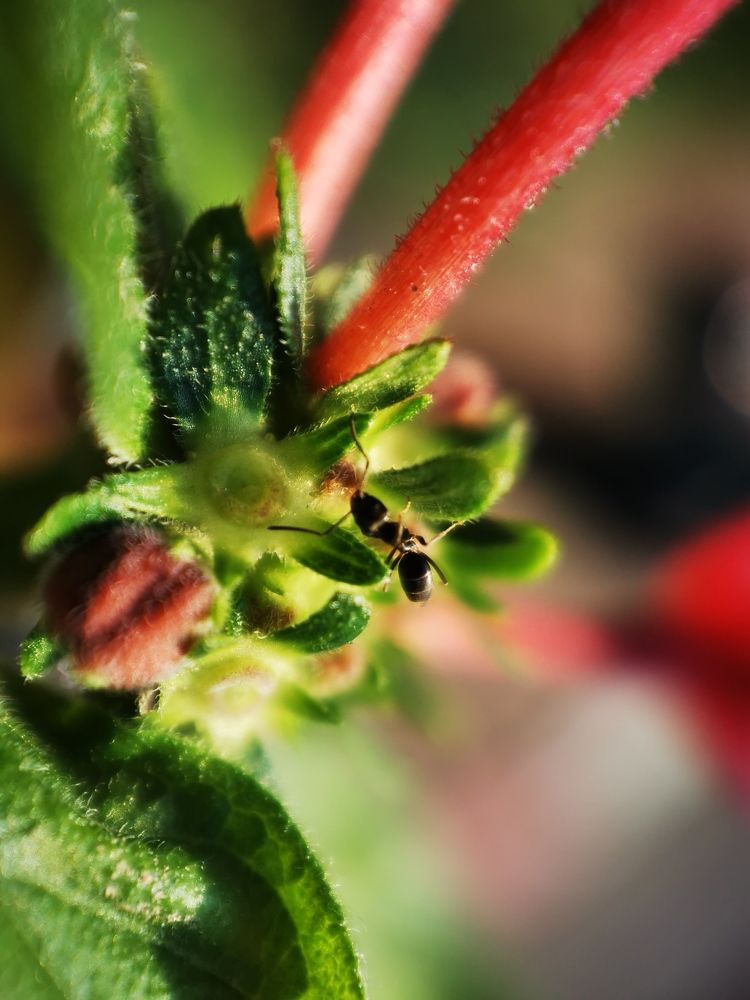 Photograph by Marina Persanova