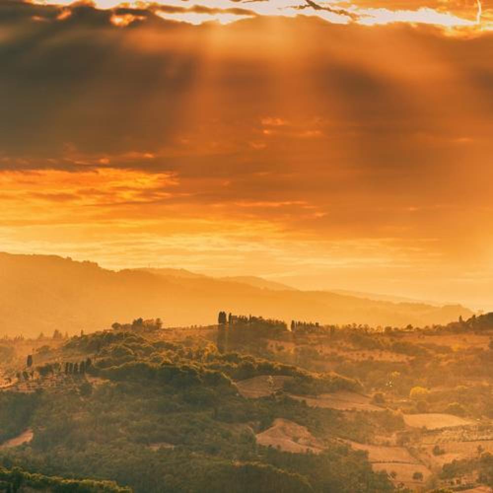 Photograph by Новицкая Татьяна