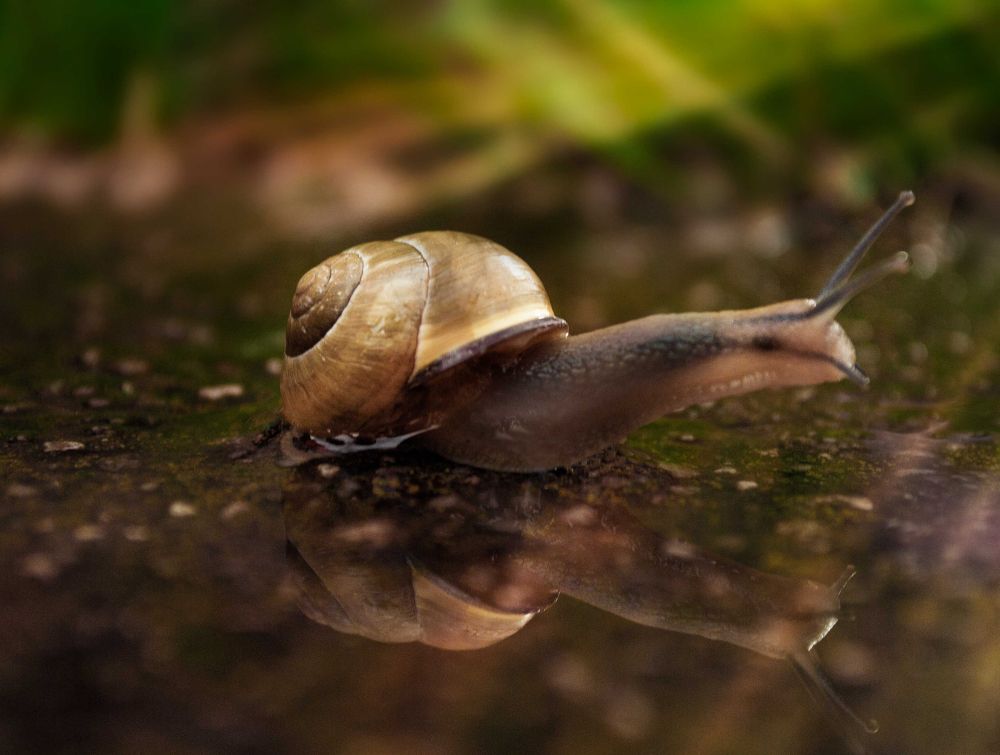 Photograph by Nataliia Dowgan