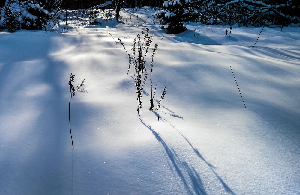 Photograph by Владимир Гречанинов