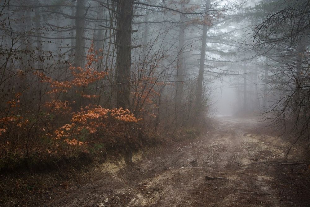 Photograph by Елена Покрепа