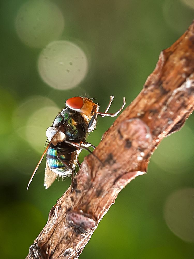 Photograph by Wandy Jennifer