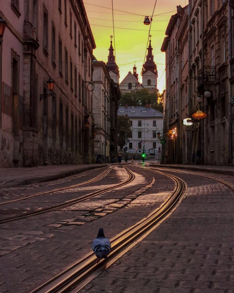 Photograph by Владимир Дихтенко