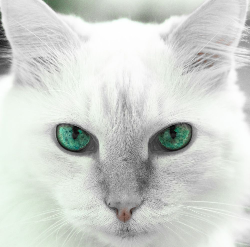 Photograph by Ирина Окладникова