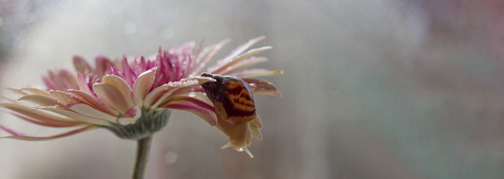 Photograph by Ольга Дорошенко