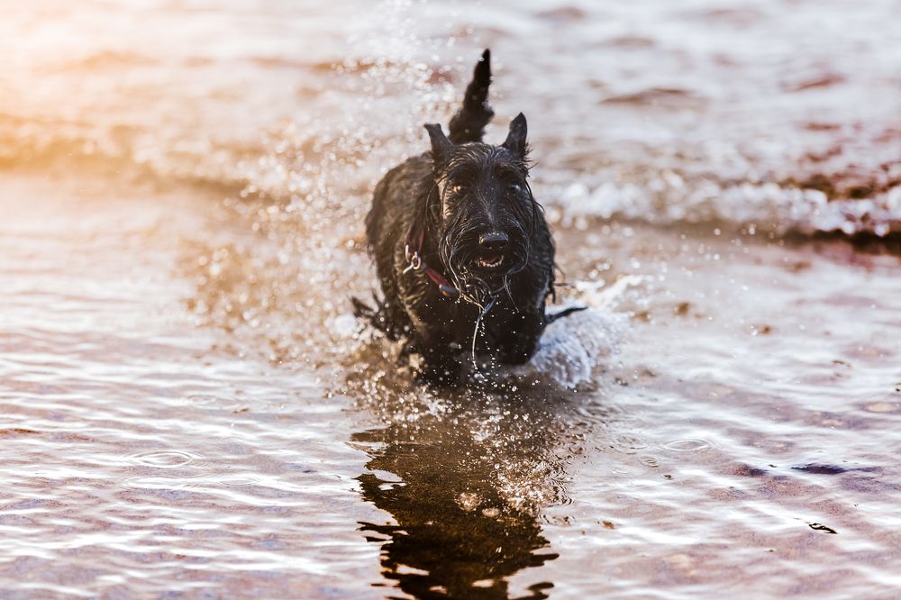 Photograph by Спесивцева Эльмира