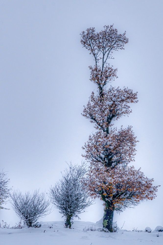 Photograph by Vahid Yavari