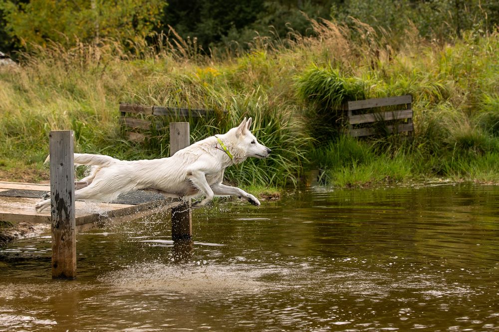 Photograph by Спесивцева Эльмира