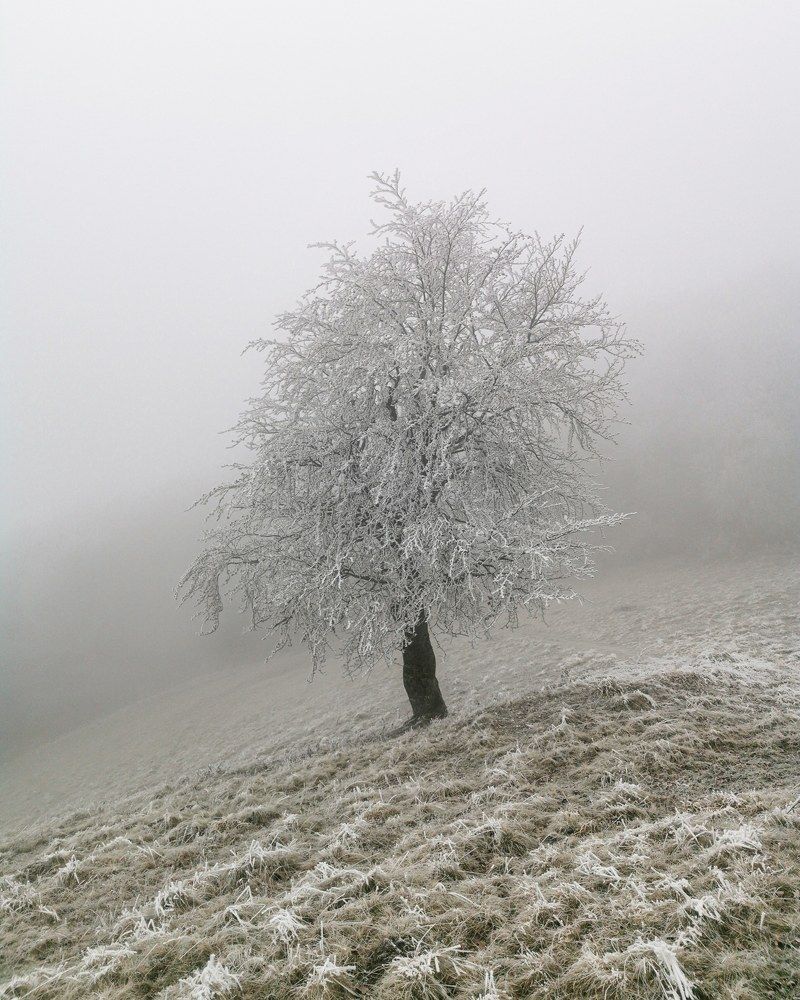 Photograph by Владимир Дихтенко