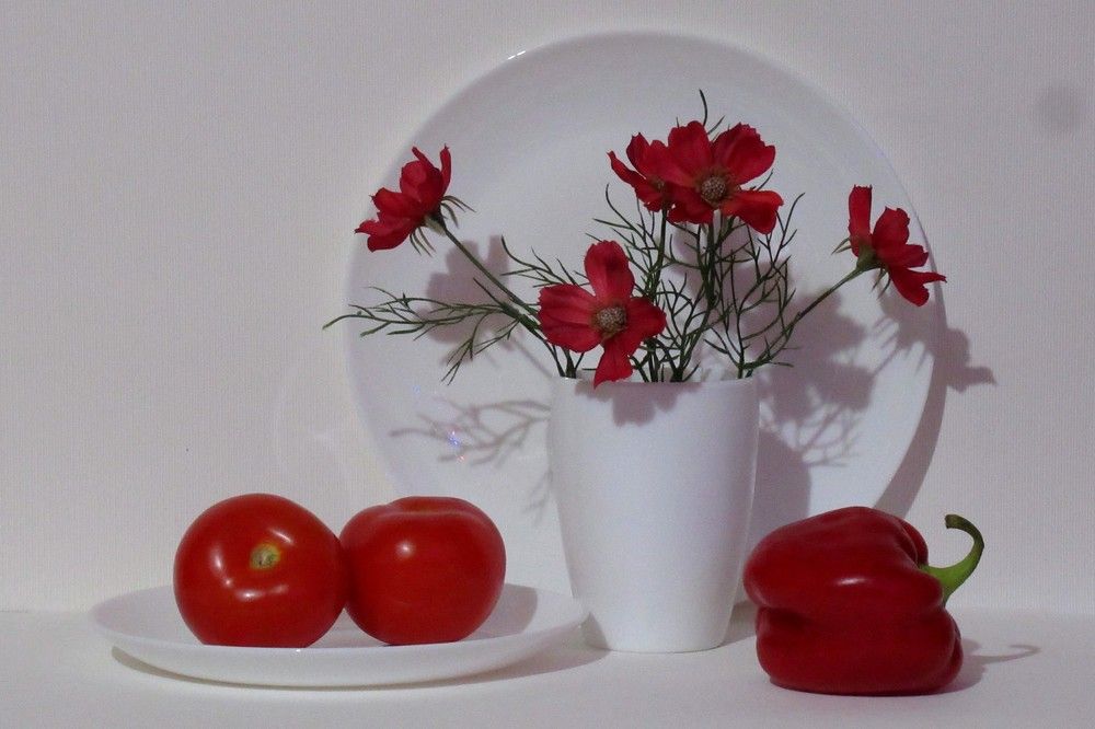 Белое и красное