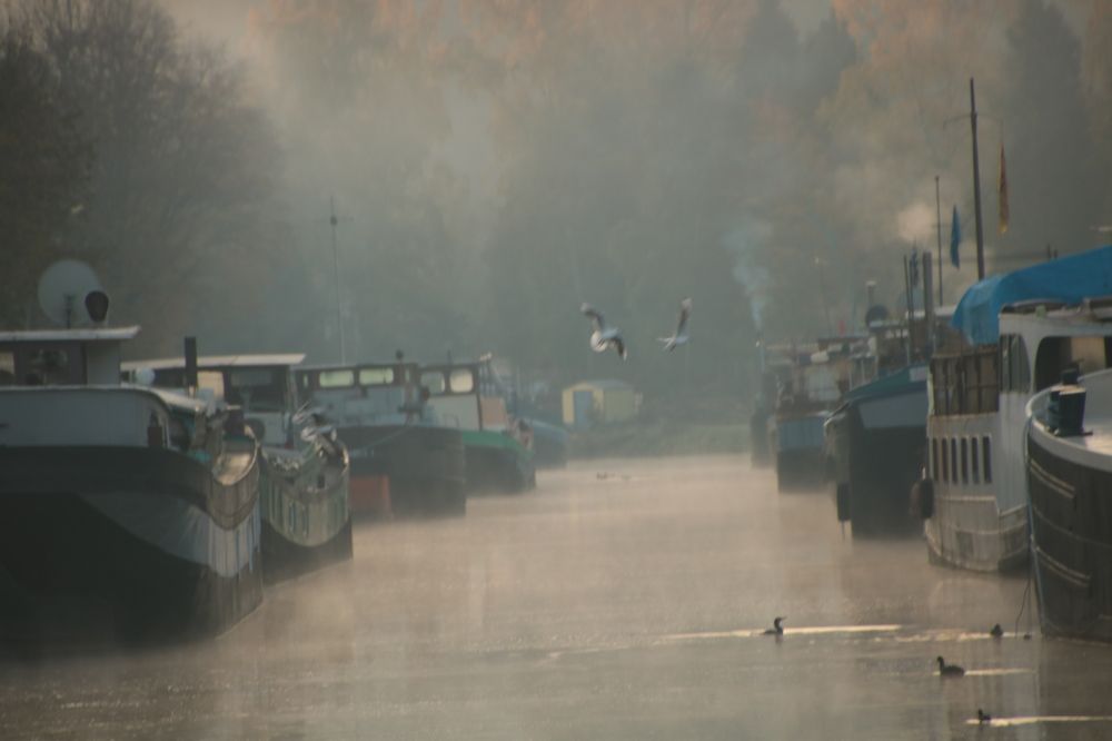 Photograph by François Mastrorilli