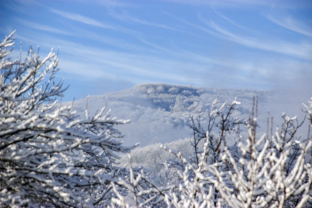Photo #5749423