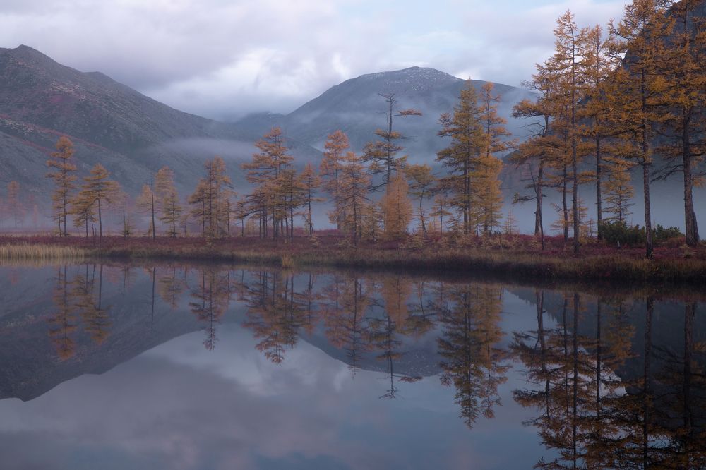 Фотография автора Nadezhda Okorokova