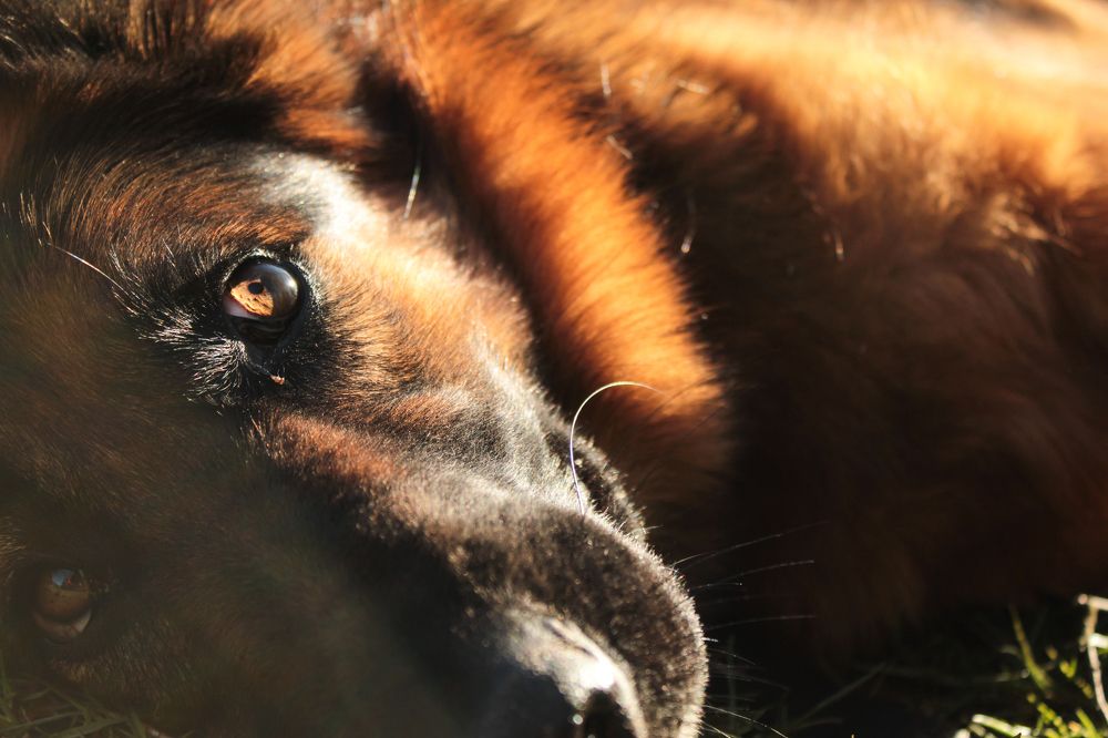 Photograph by Ольга Глубока