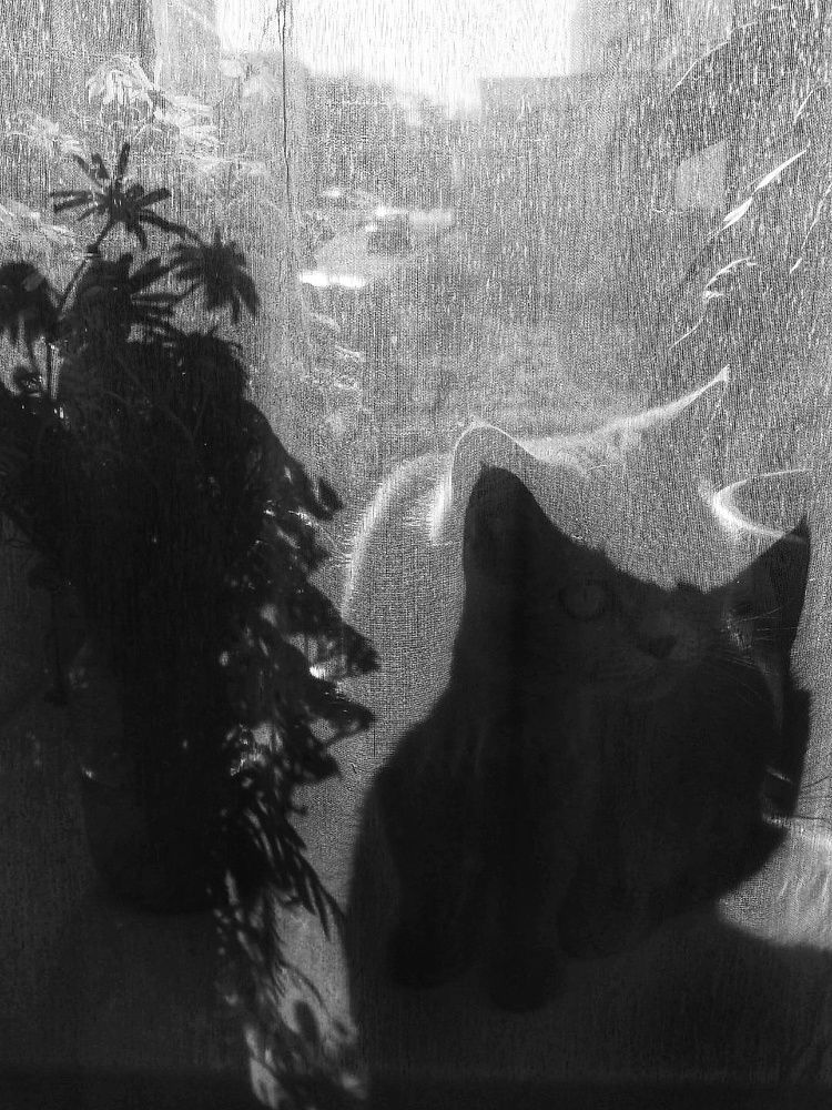 Photograph by Алеся Цеван