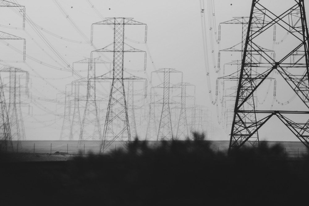 Photograph by Dragana Rulic