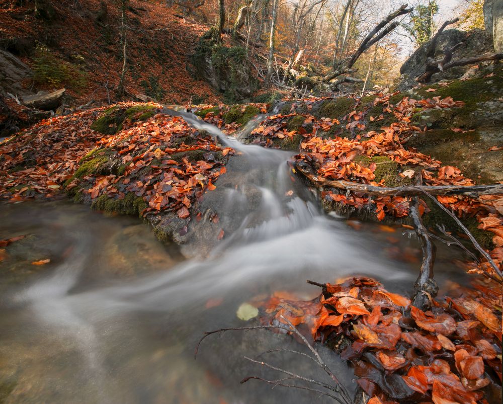 Photograph by Андрей Ершов