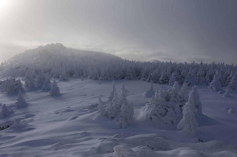 Ледяная пелена