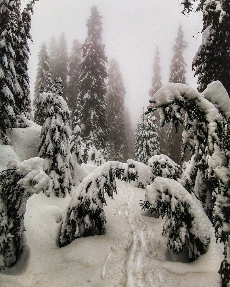 Photograph by Владимир Дихтенко