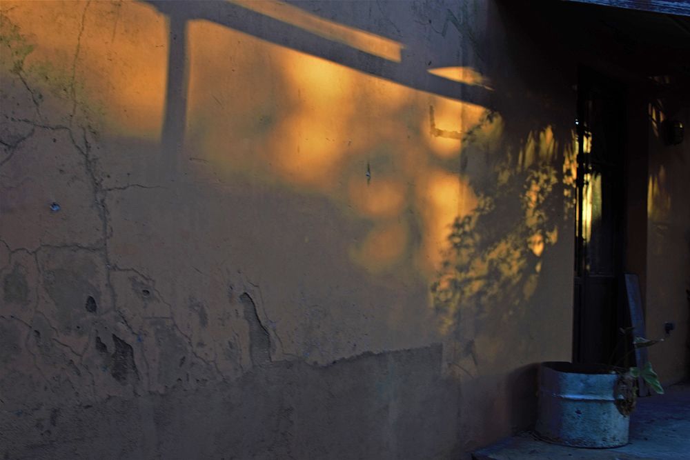 Фотография автора Vilma Albamonte