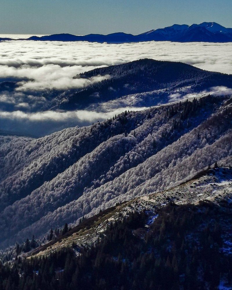 Photograph by Владимир Дихтенко