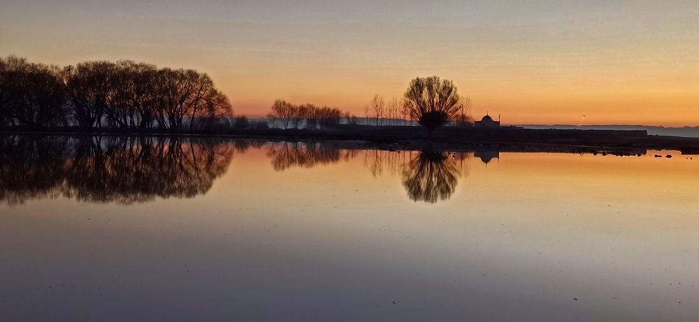 Photograph by Ömer Doğan