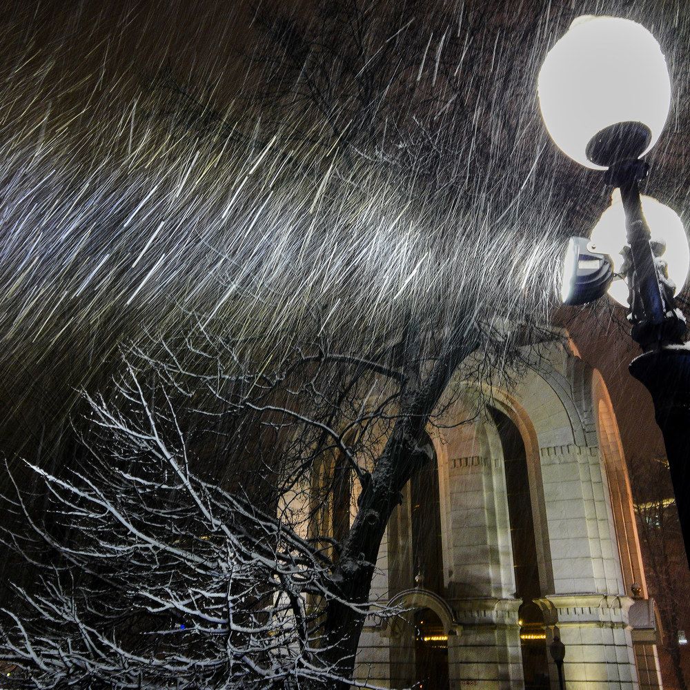 Photograph by Владимир Чернышов