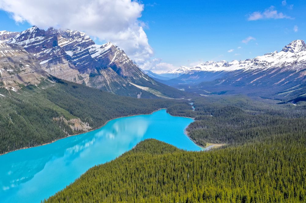Peyto lake