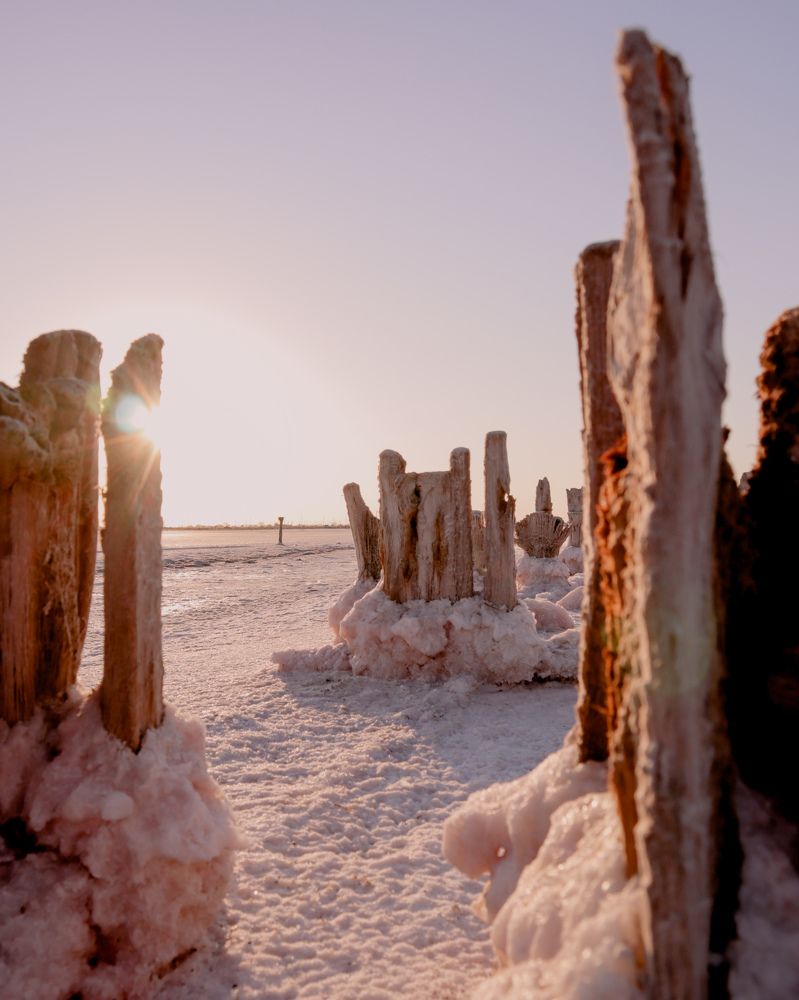 Photograph by Сергей Рязанов