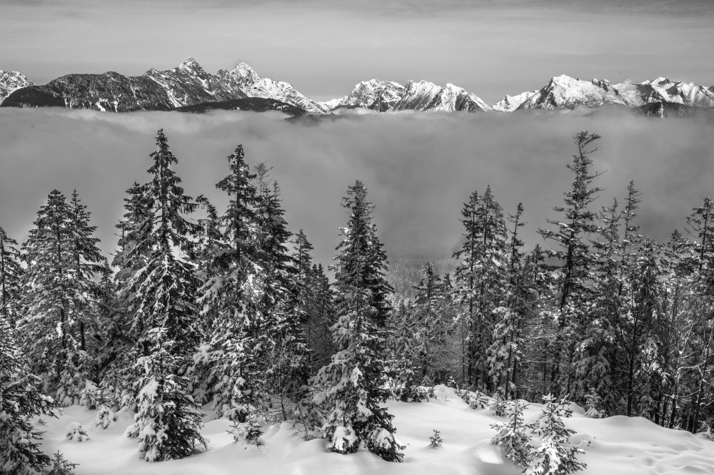 Photograph by Irina Moser