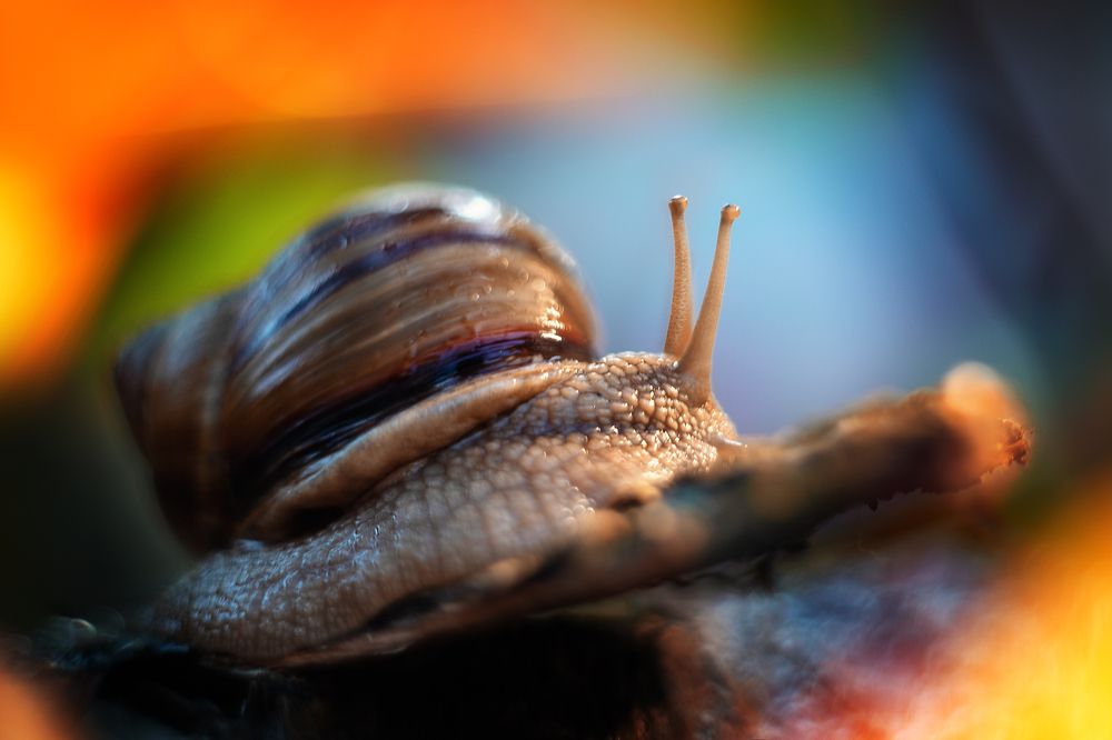 Photograph by Alena Sabro