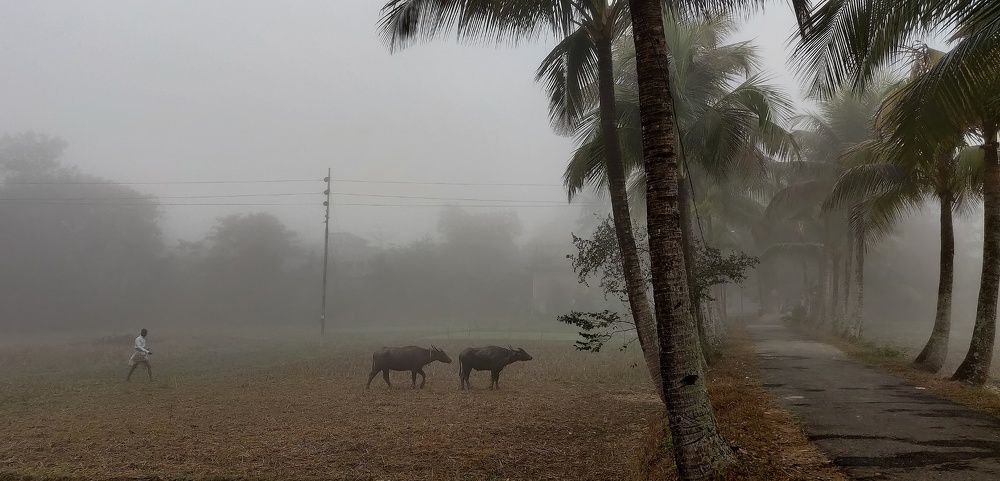 Photo #5749955