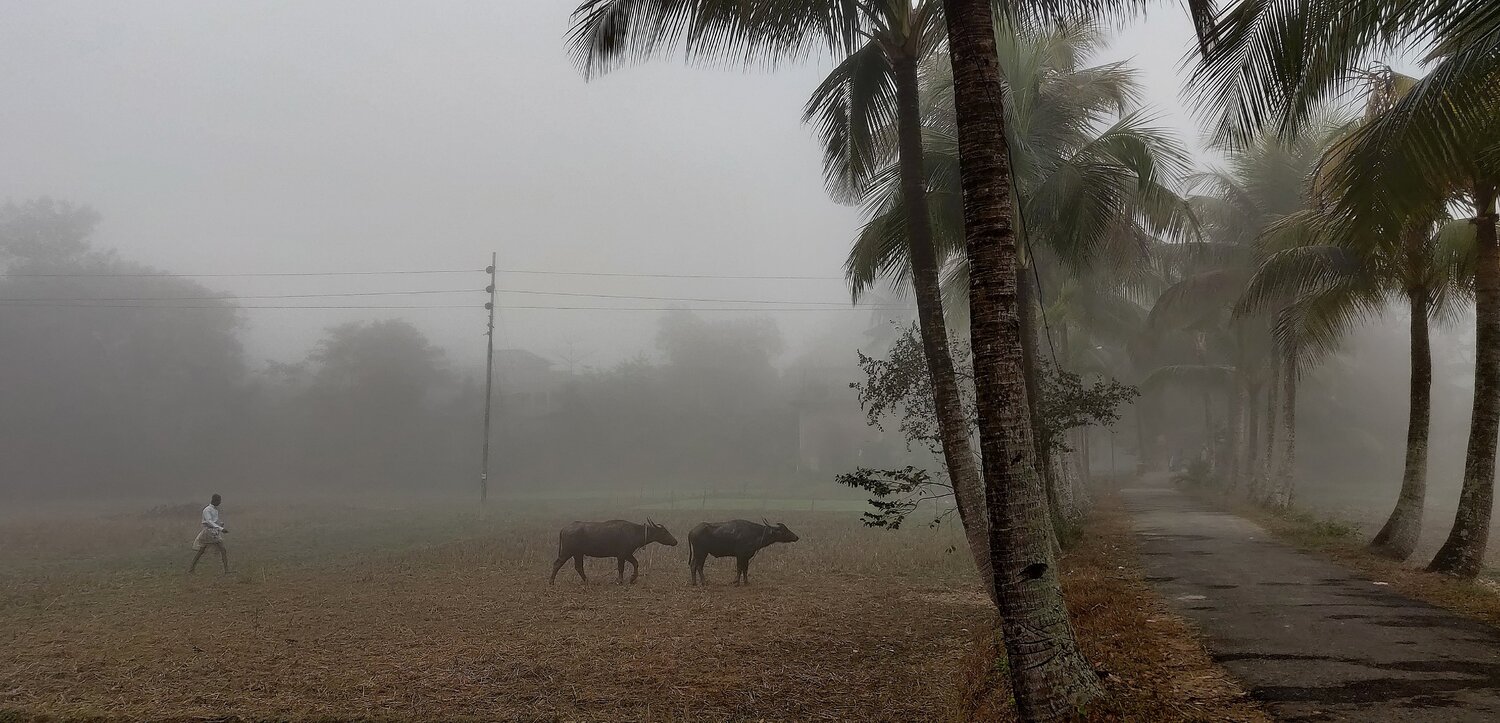 Photo #5749955