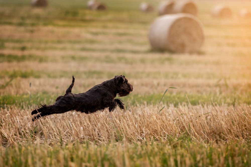 Photograph by Спесивцева Эльмира