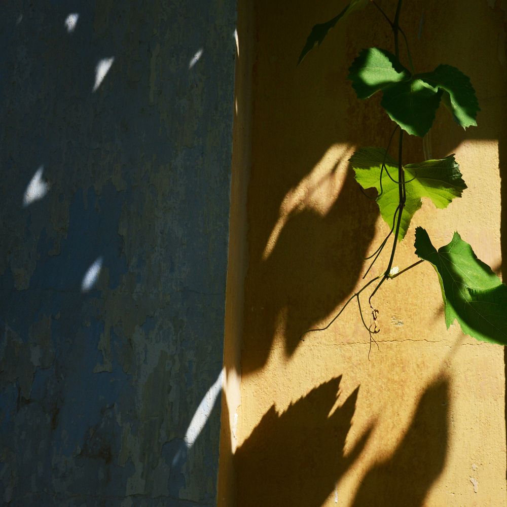 Photograph by Юрий Солодовников