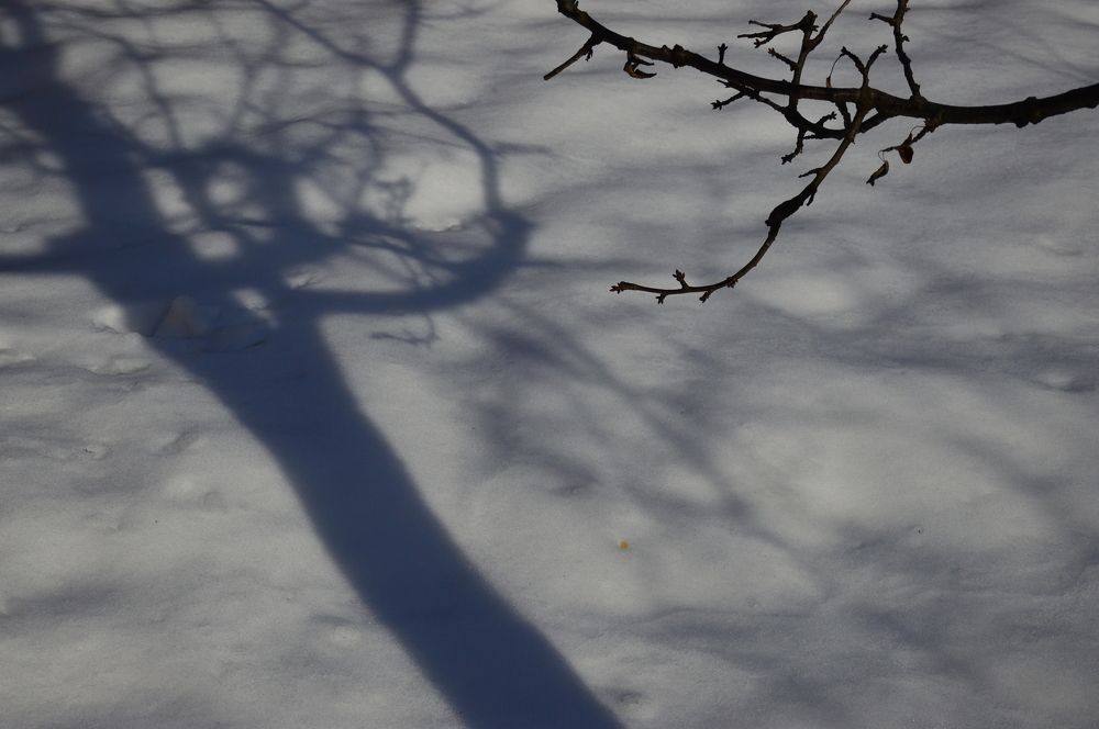 Photograph by Юрий Солодовников