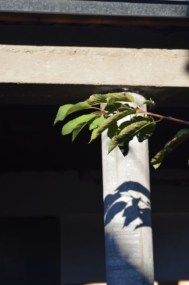 Photograph by Юрий Солодовников