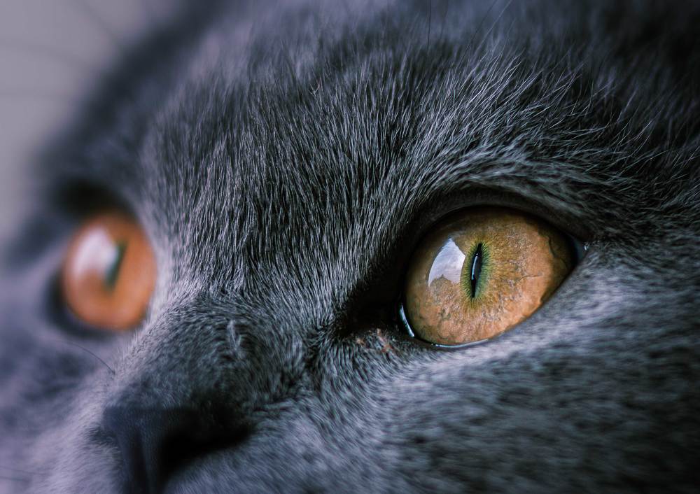 Photograph by Басалаев Евгений