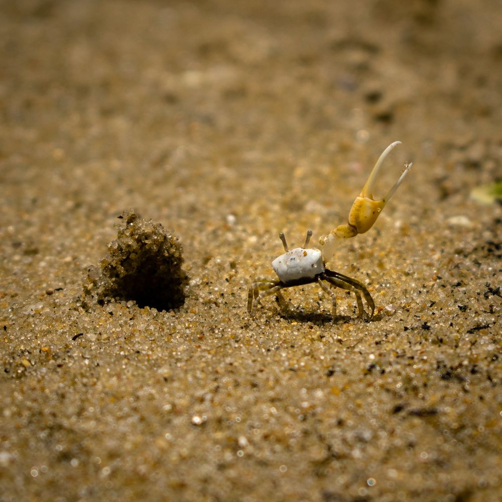 Photograph by Adam Widmer