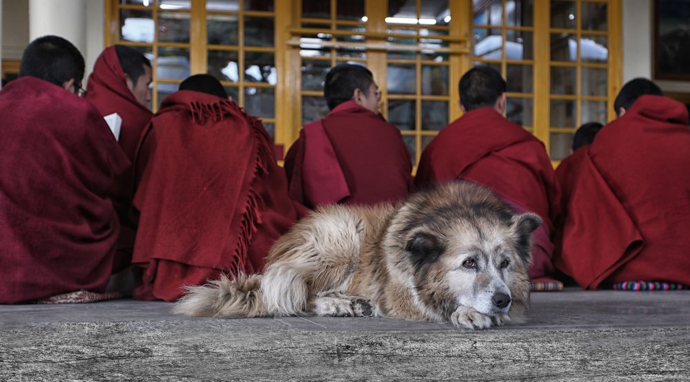 Photograph by Лара Лаби