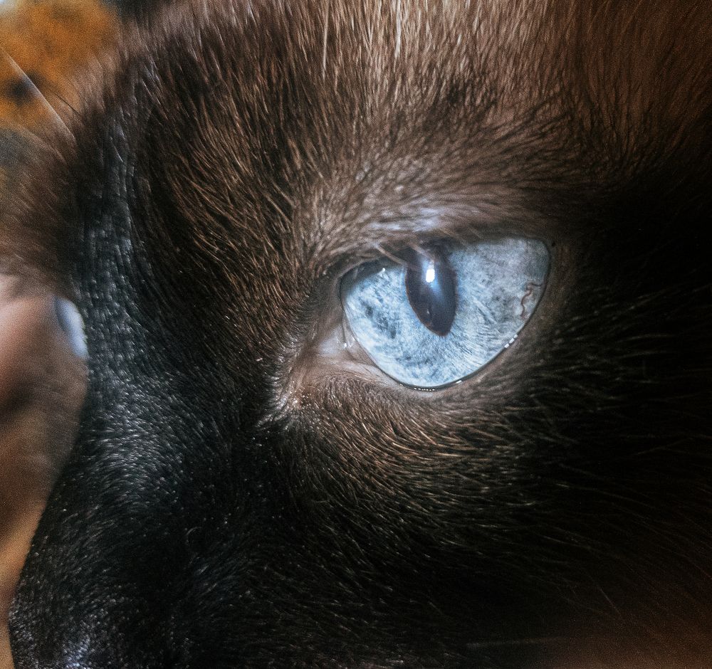 Photograph by Басалаев Евгений