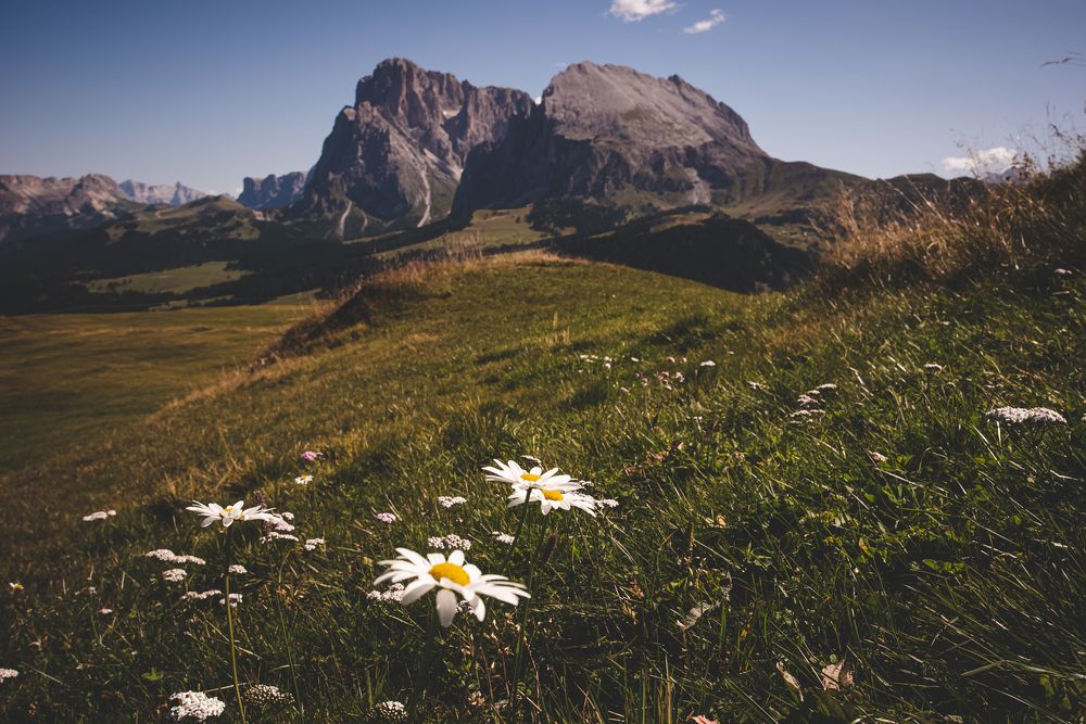 Фотография автора Kristijan Males