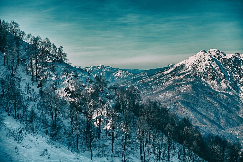 Фотография автора Екатерина Мишкель