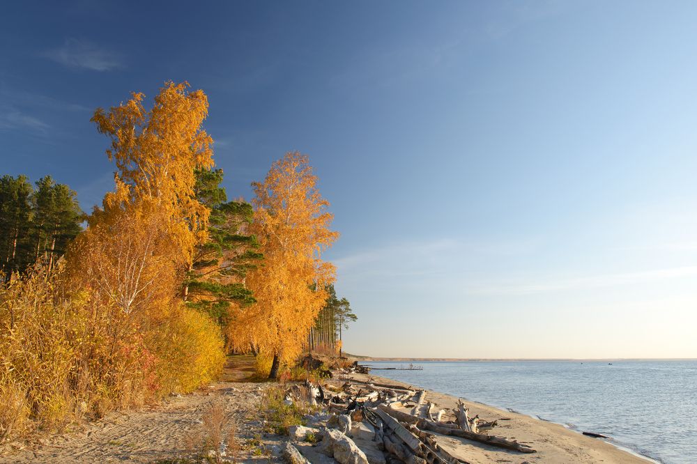 Photograph by Александр Шведов