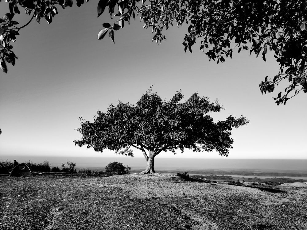 Photograph by saad